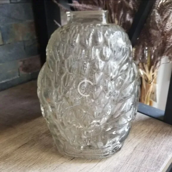 Wise Old Owl, Blown Glass Coin Bank By Anchor Hocking - Picture 2 of 4